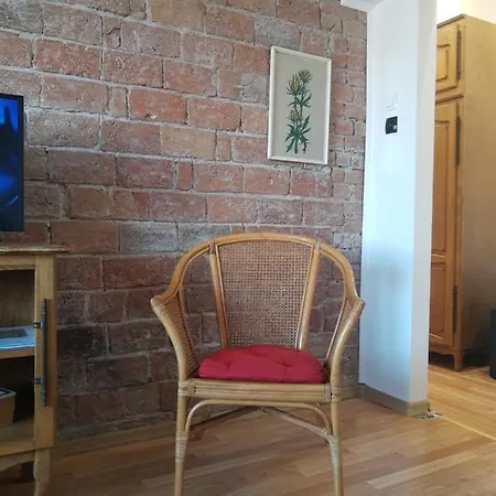 Alexandar Daire Belgrad Dış mekan fotoğraf