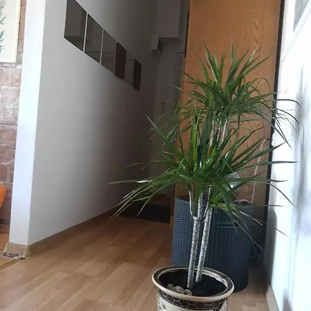 Alexandar Daire Belgrad Dış mekan fotoğraf