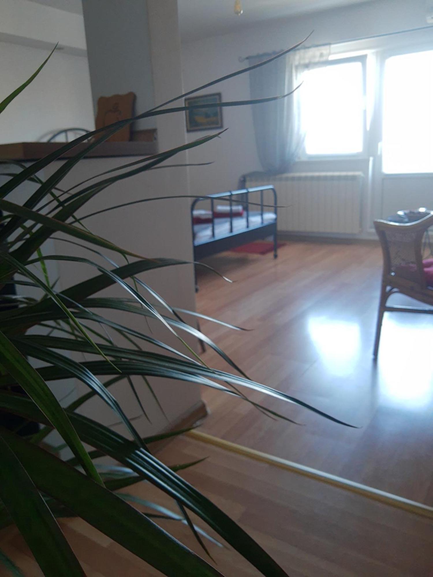Apartment Alexandar Belgrad