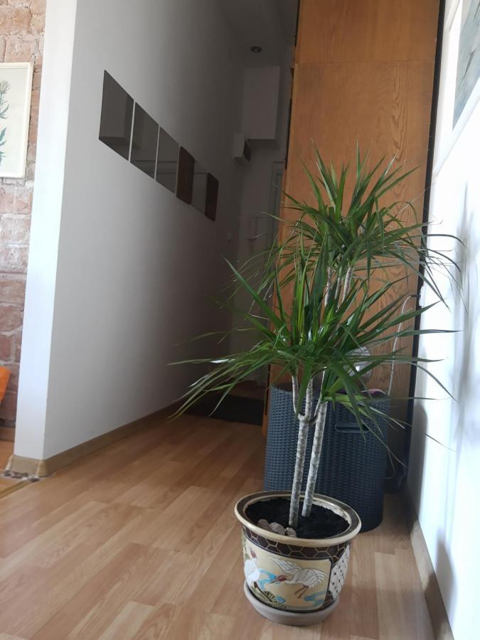 Alexandar Apartment Belgrad